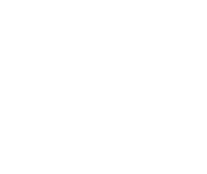 IE-University-logo-negativo-alternativo